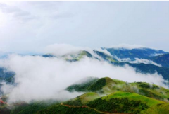 正全力将其打制为桂东南最大的有色金属冶炼加