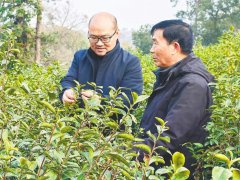 投产后订单川流不息